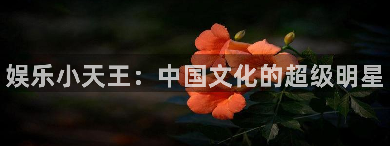 蓝狮在线：娱乐小天王：中国文化的超级明星