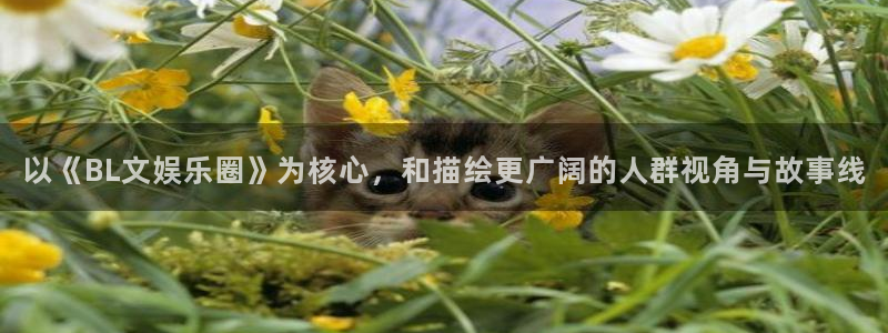 蓝狮在线注册平台官网：以《BL文娱乐圈》为核心，和描绘更广阔的人群视角与故事线