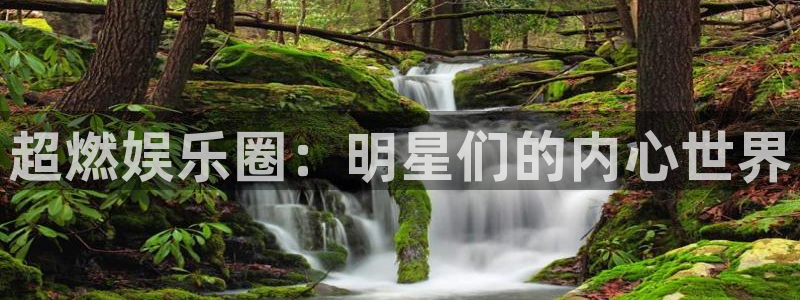 蓝狮在线游戏怎么注册：超燃娱乐圈：明星们的内心世界