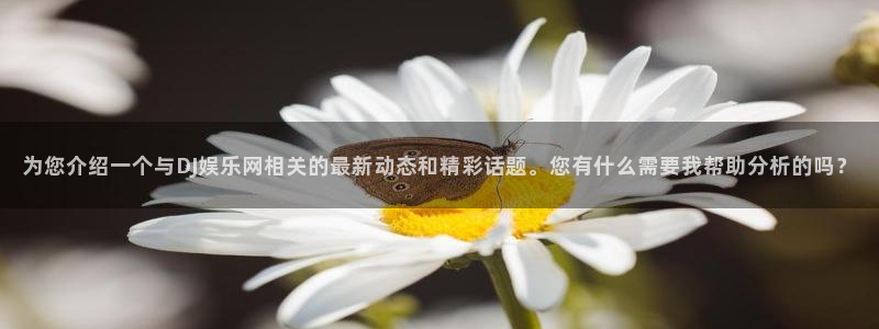 蓝狮在线彩票官网：为您介绍一个与DJ娱乐网相关的最新动态和精彩话题。您有什么需要我帮助分析的吗？