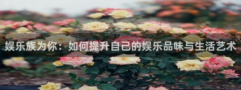 蓝狮在线彩票官网：娱乐族为你：如何提升自己的娱乐品味与生活艺术