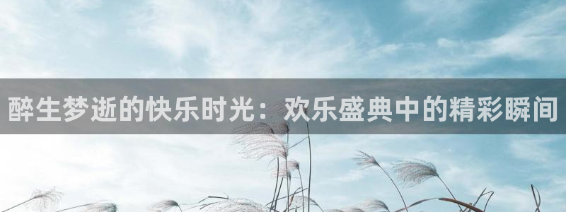 蓝狮在线登录注册账号：醉生梦逝的快乐时光：欢乐盛典中的精彩瞬间