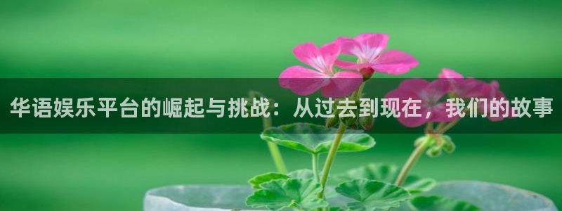 蓝狮在线注册地址：华语娱乐平台的崛起与挑战：从过去到现在，我们的故事
