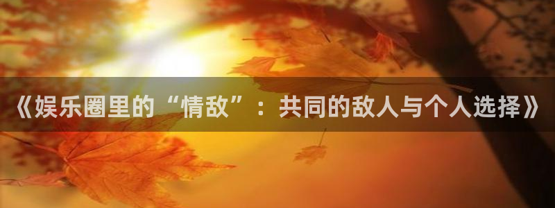 蓝狮在线平台：《娱乐圈里的“情敌”：共同的敌人与个人选择》
