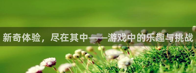 蓝狮在线的钱能提出来吗