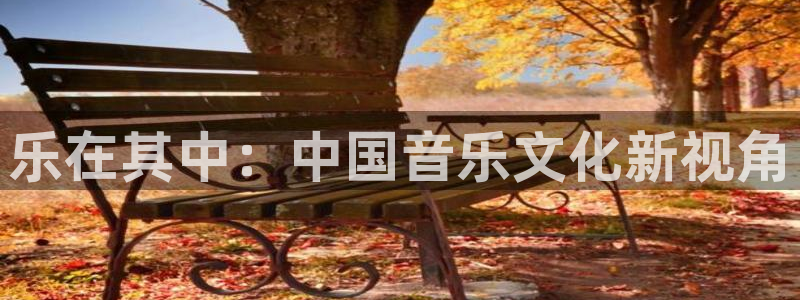蓝狮在线：乐在其中：中国音乐文化新视角