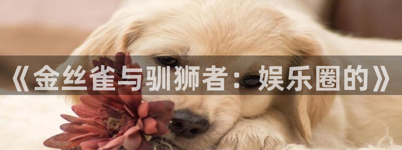 蓝狮在线的钱能提出来吗：《金丝雀与驯狮者：娱乐圈的》