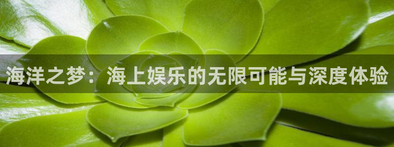蓝狮在线游戏怎么注册：海洋之梦：海上娱乐的无限可能与深度体验